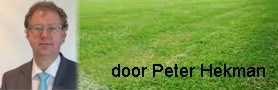 door_Peter_Hekman_.jpg