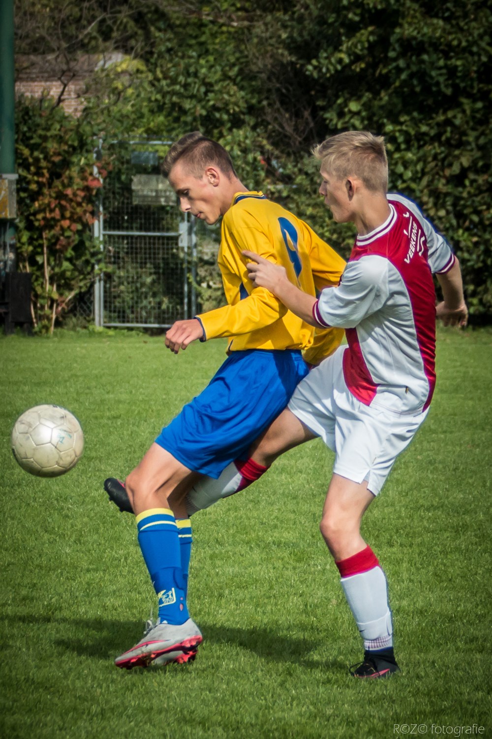 IMG_2632_1.JPG